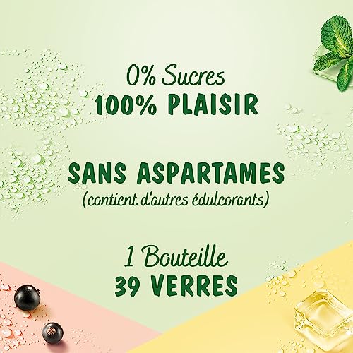 teisseire-z-ro-sucre-sirop-saveur-th-glac-p-che-bidon-60cl image 8