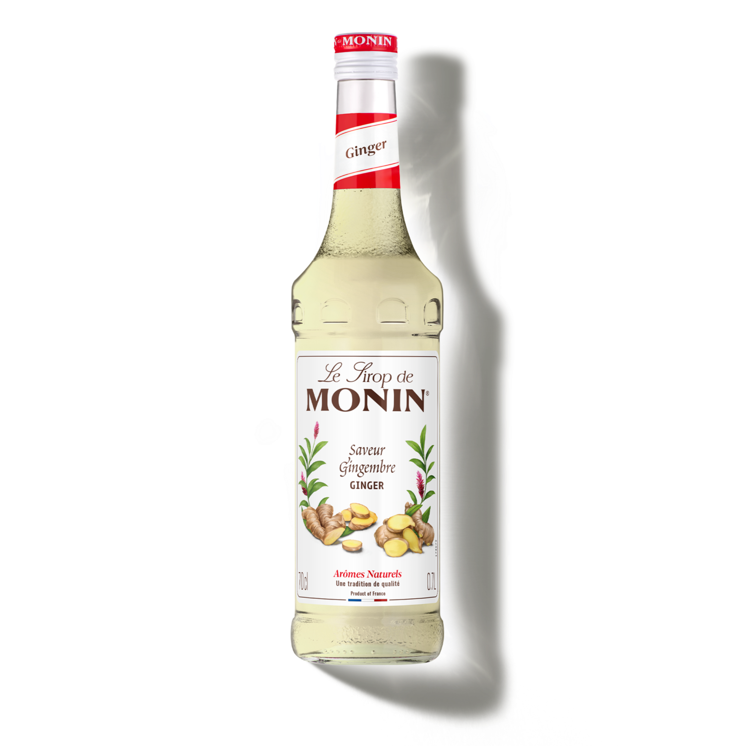 monin-le-sirop-saveur-gingembre image 3