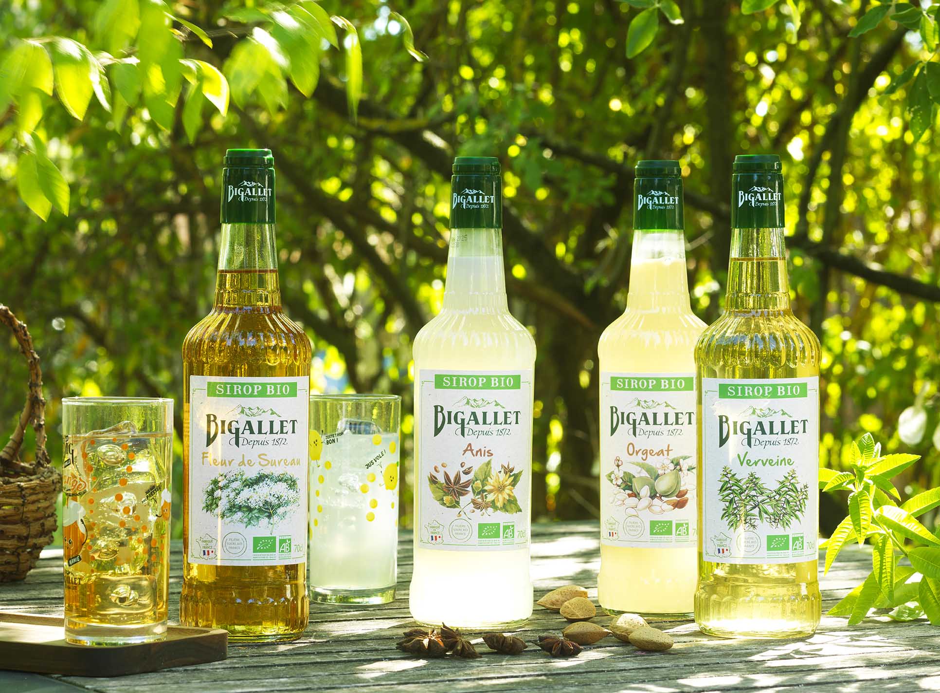 bigallet-sirop-de-fleur-de-sureau-bio image 2