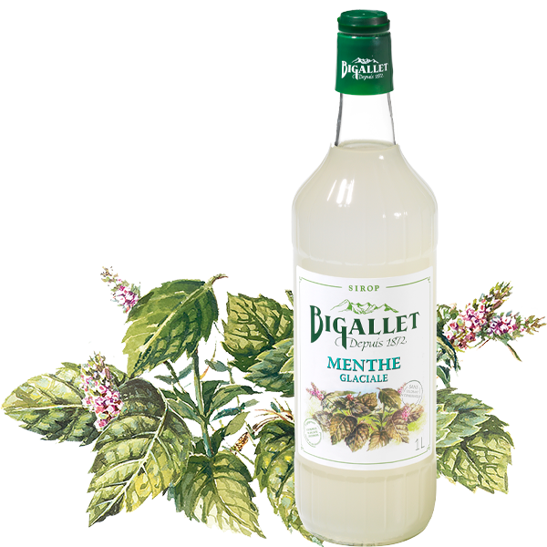 bigallet-sirop-de-menthe-glaciale-bio image 1