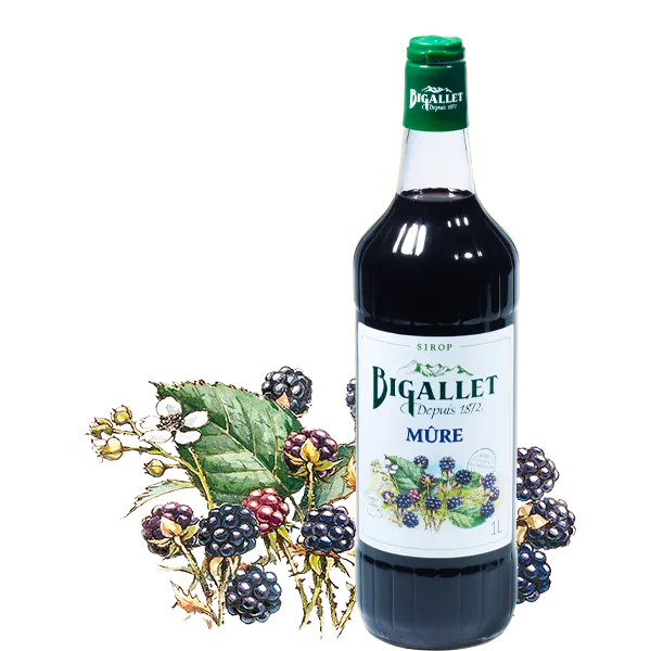 bigallet-sirop-de-m-re-sirop-bio-fruit image 1