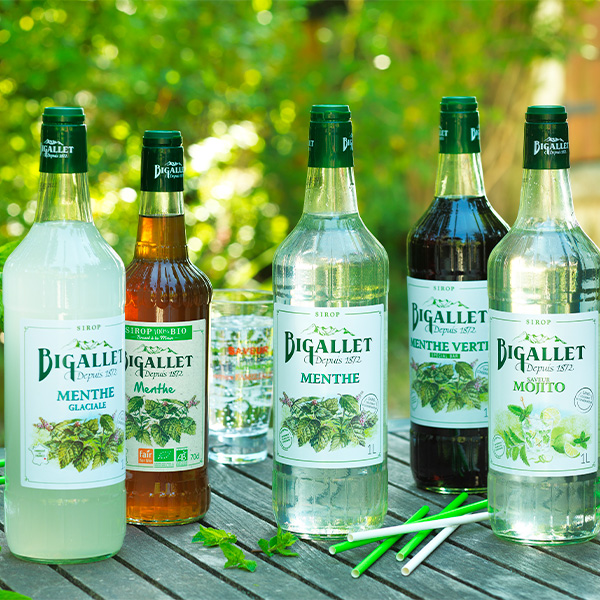 bigallet-sirop-de-menthe-sirop-bio-75cl image 2