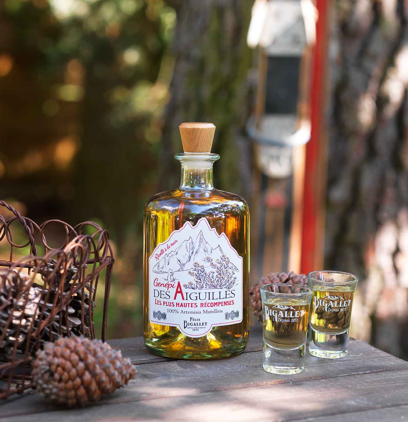 bigallet-gen-pi-des-aiguilles-liqueur-gen-pi-des-alpes image 2