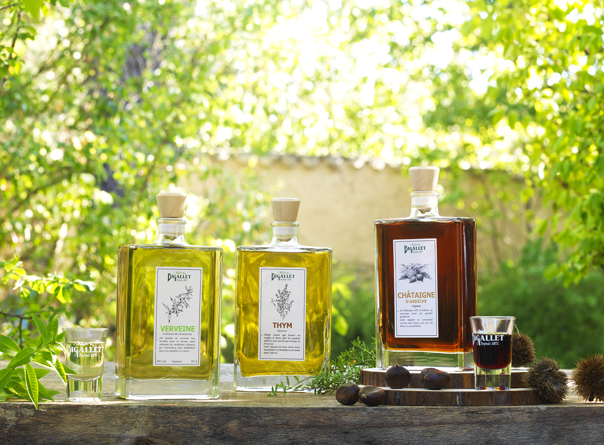 bigallet-liqueur-de-thym-liqueur-aux-plantes image 3