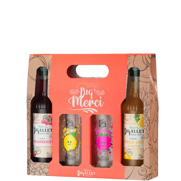 bigallet-coffret-big-merci-2-sirops-coffret-cadeau-bio image 1