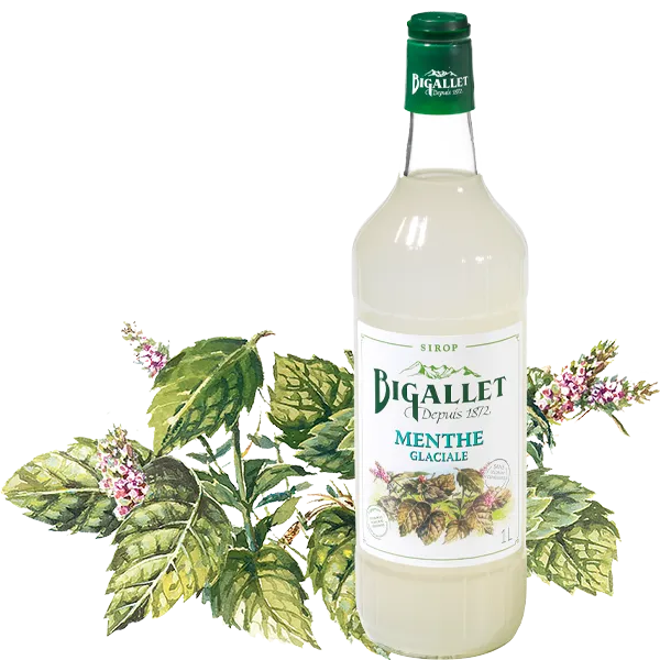 bigallet-sirop-de-menthe-glaciale-bio image 1