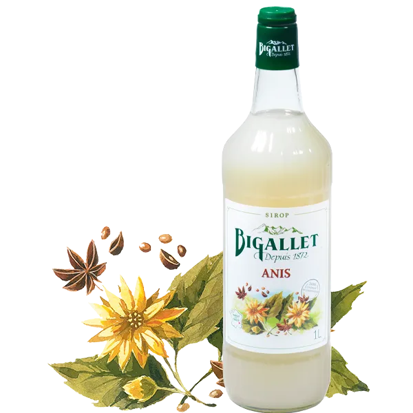 bigallet-sirop-d-anis-sirop-bio image 1