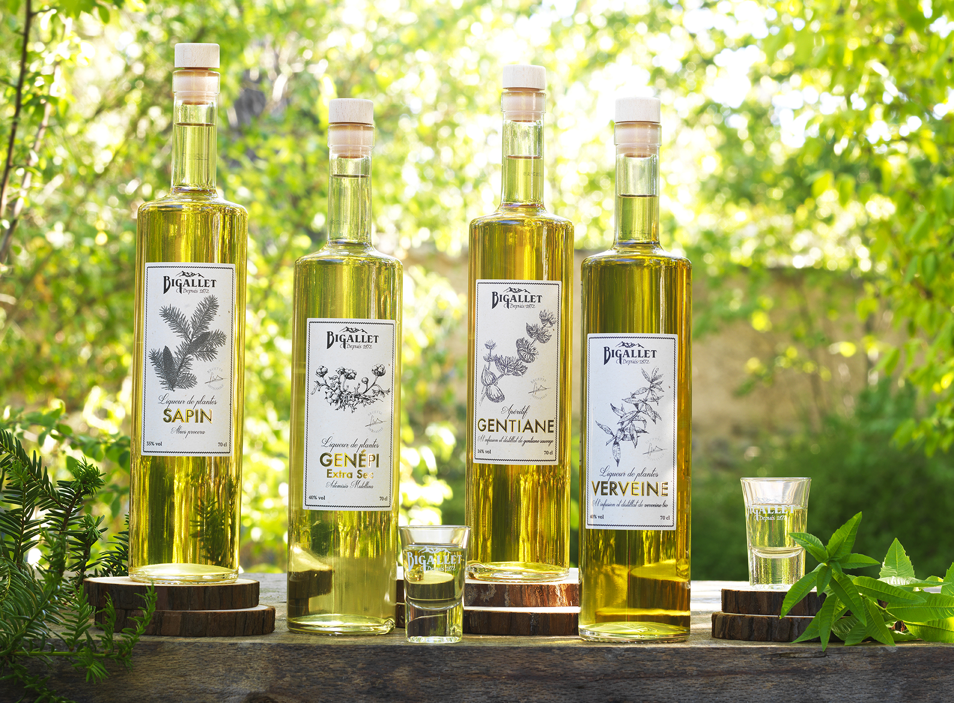 bigallet-liqueur-de-sapin image 4