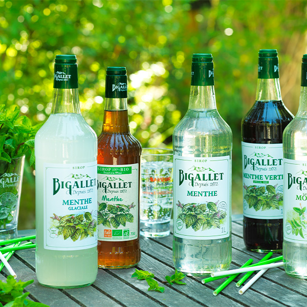 bigallet-sirop-de-menthe-glaciale-bio image 2