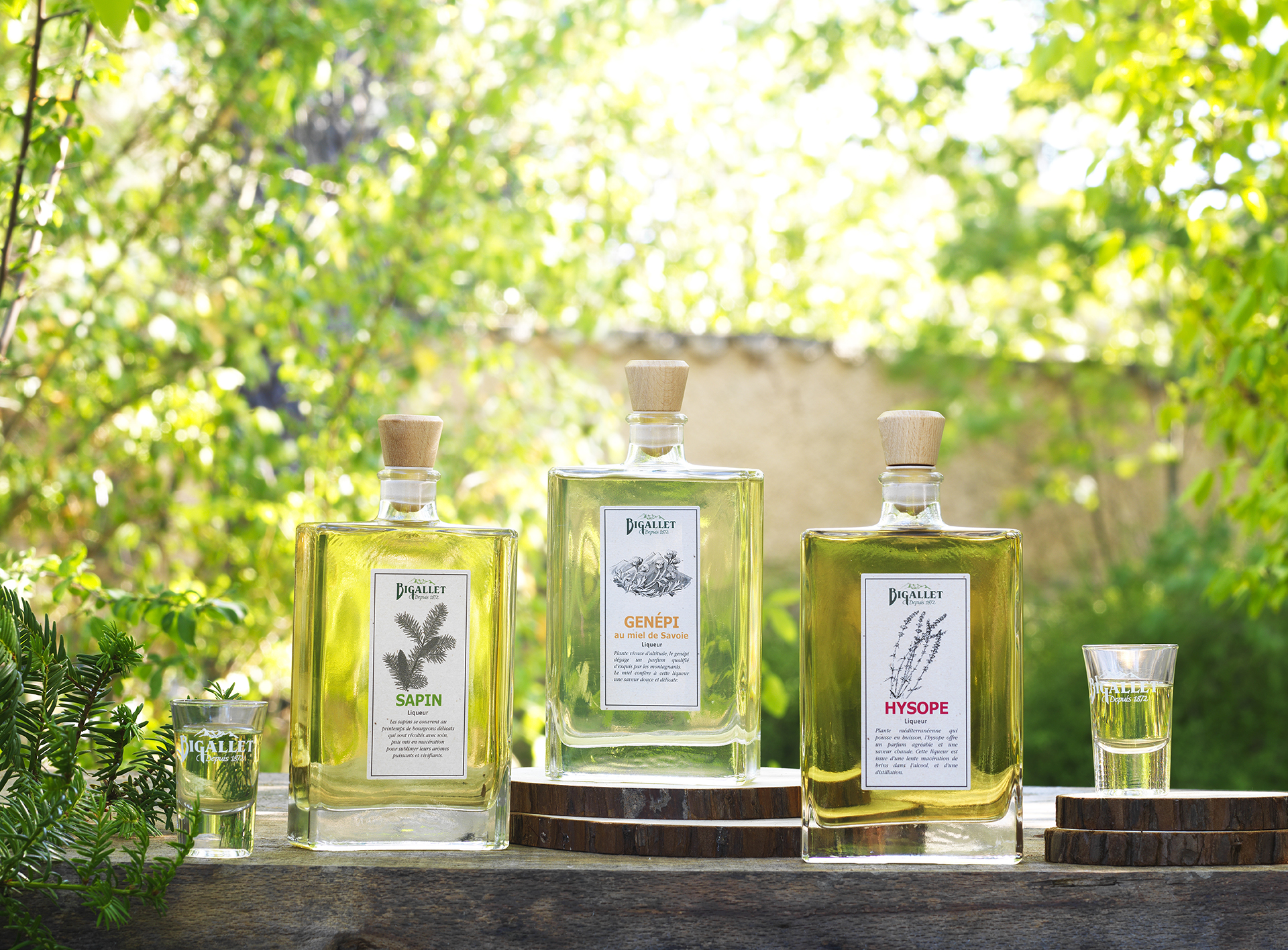 bigallet-liqueur-de-sapin image 3