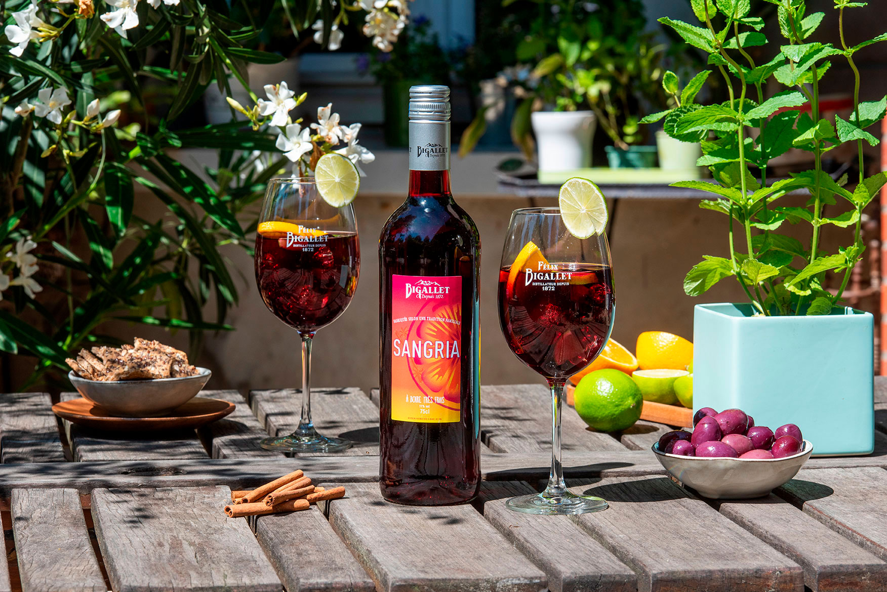bigallet-sangria-pr-paration-pour-boisson image 2