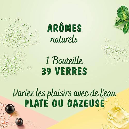 teisseire-sirop-de-violette-60cl image 8