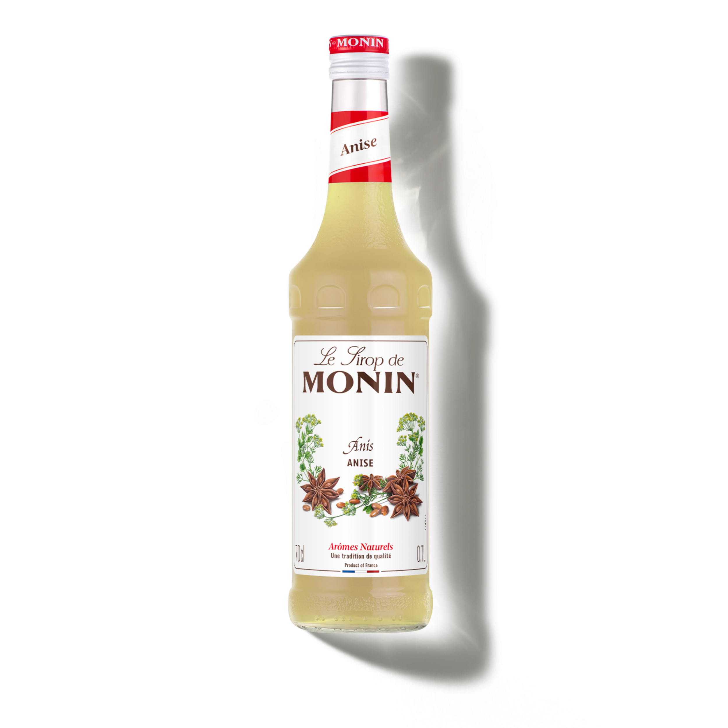 monin-le-sirop-anis-sirop-pour-boissons image 1