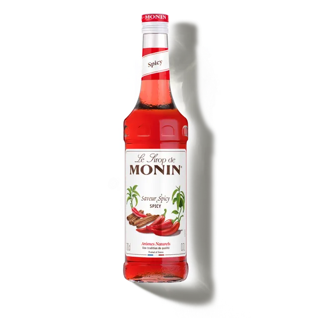 monin-le-sirop-de-monin-saveur-spicy image 1