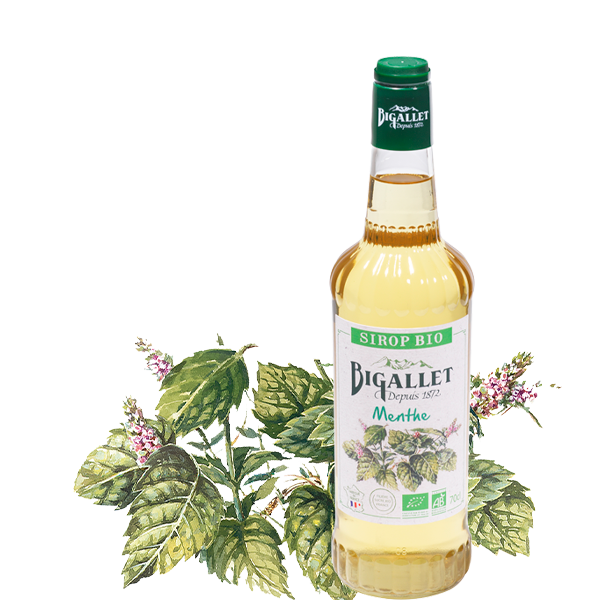 bigallet-sirop-de-menthe-bio image 1