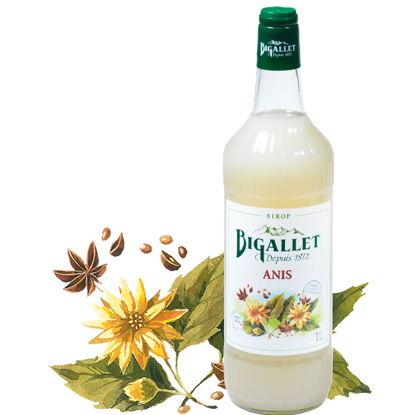bigallet-sirop-d-anis-sirop-bio image 1