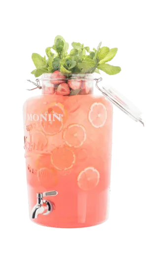 monin-fontaine-limonade-8-5l-distributeur image 1