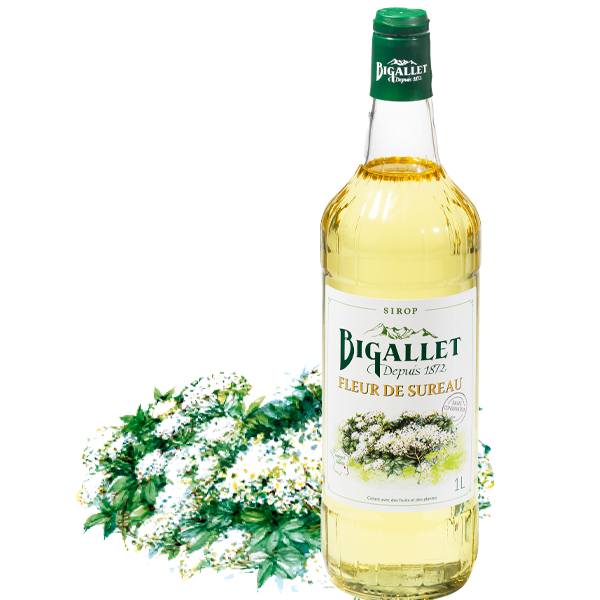 bigallet-sirop-de-fleur-de-sureau-bio-sirop-floral image 1