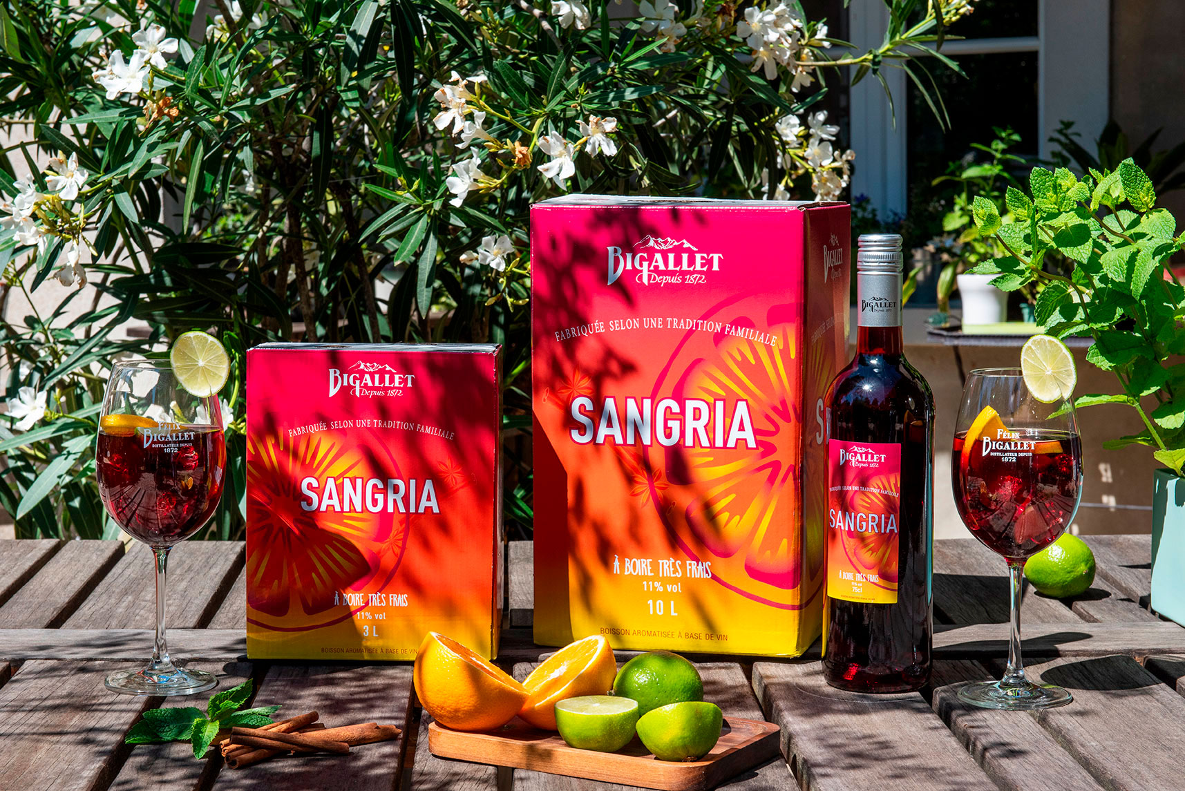 bigallet-sangria-pr-paration-pour-boisson image 3