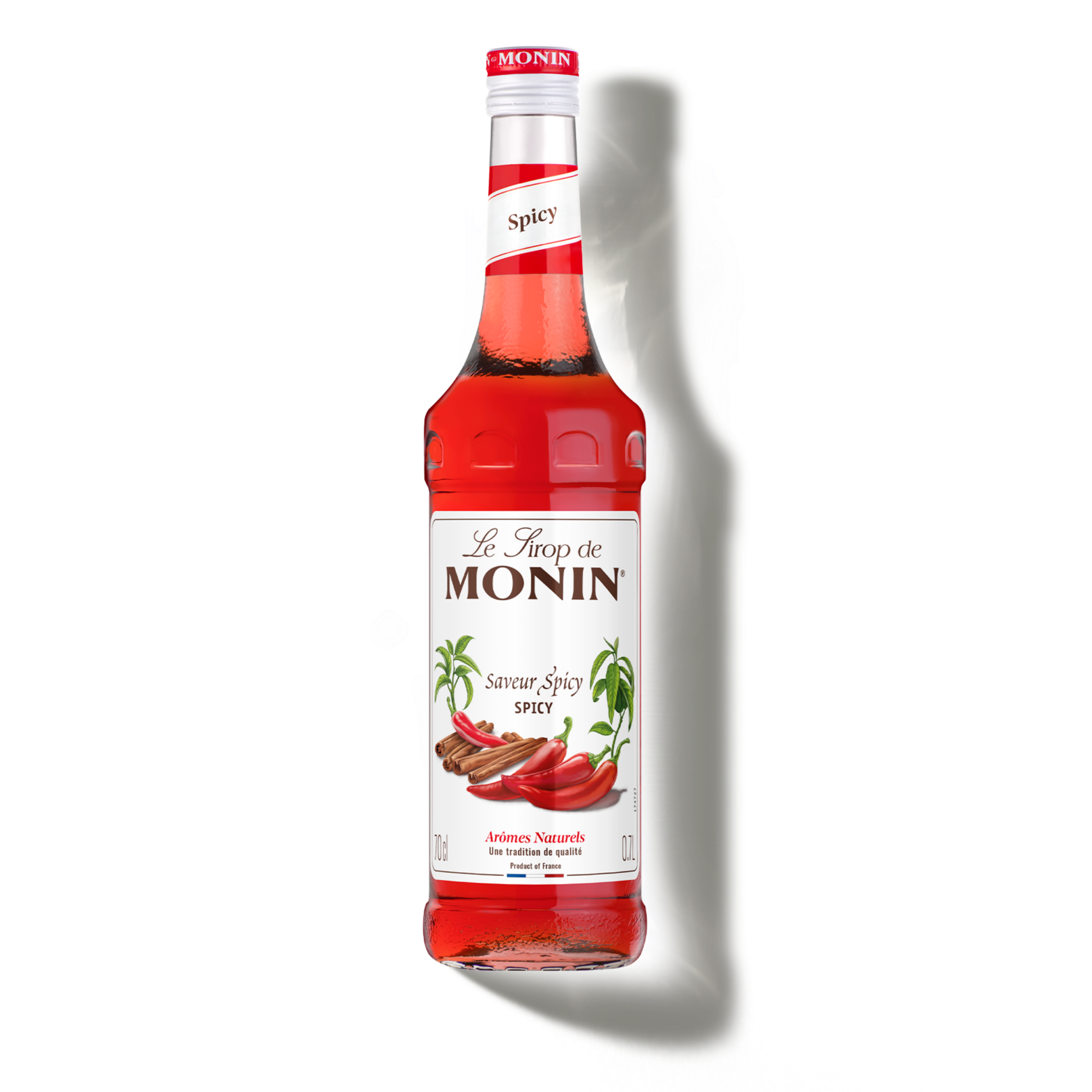 monin-le-sirop-de-monin-saveur-spicy image 1