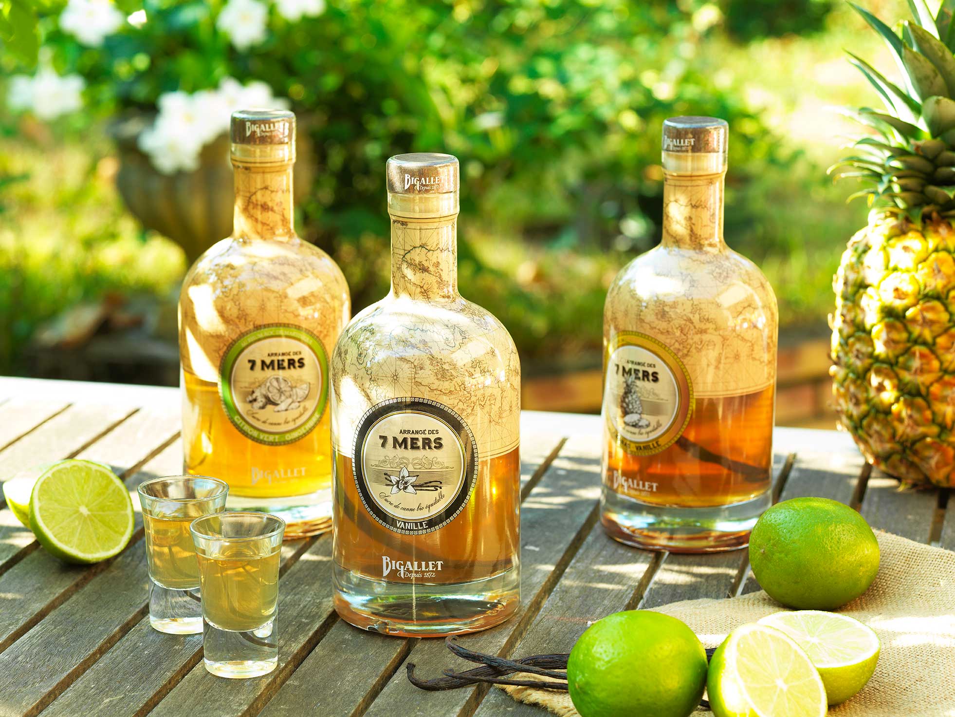 bigallet-l-arrang-citron-vert-gingembre-liqueur-arrang-e image 3