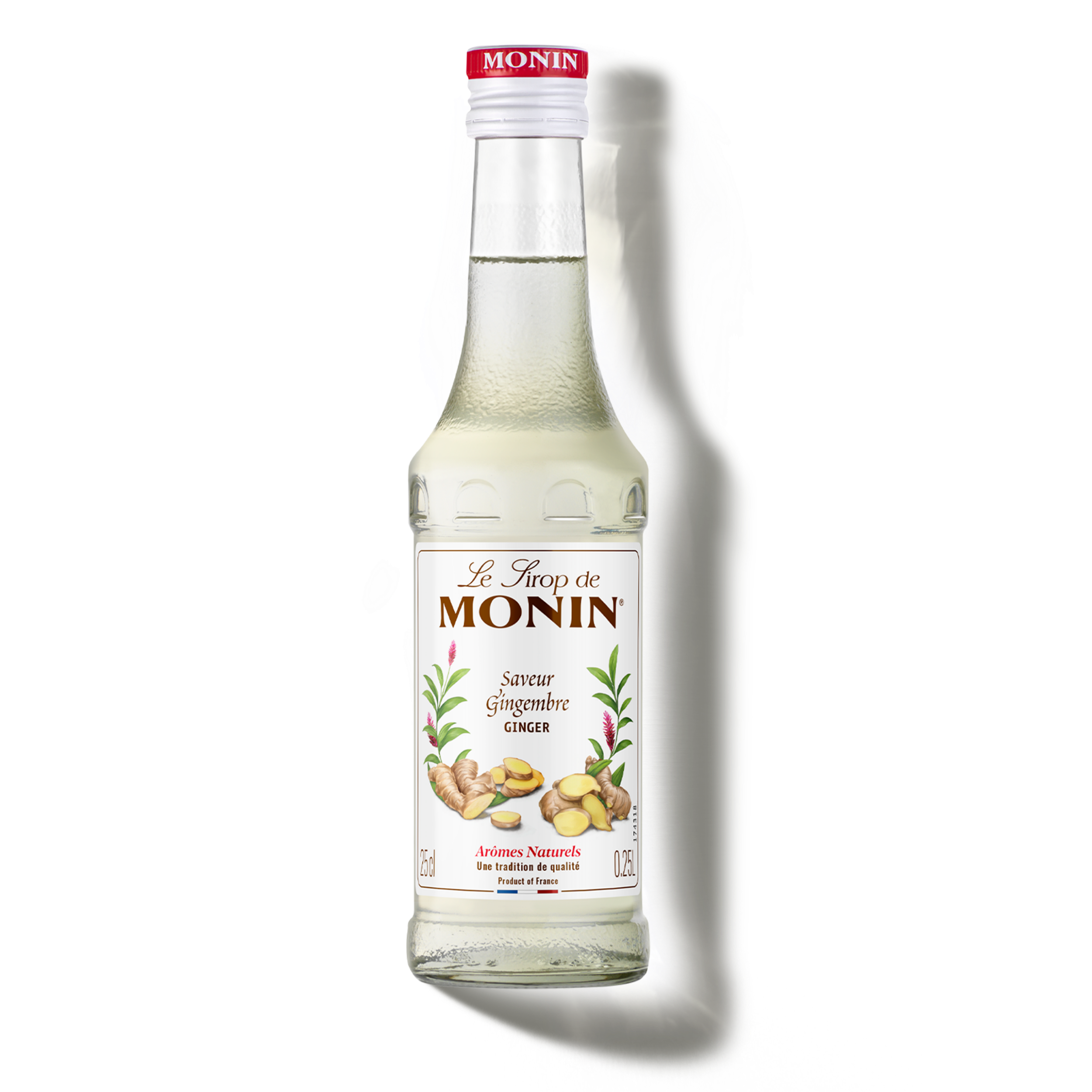 monin-le-sirop-saveur-gingembre image 1