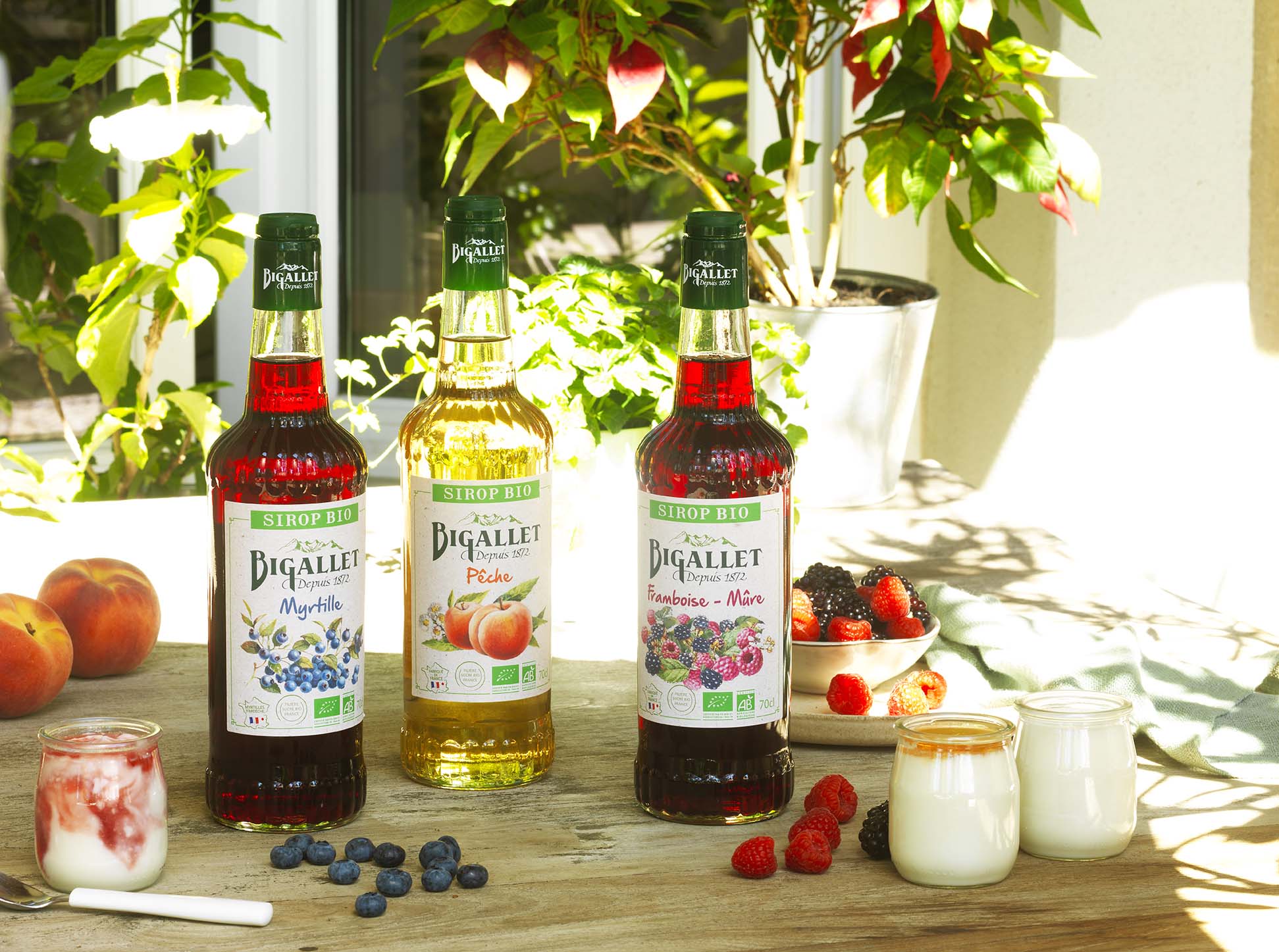 bigallet-sirop-de-myrtille-bio-sirop-fruits-rouges image 2